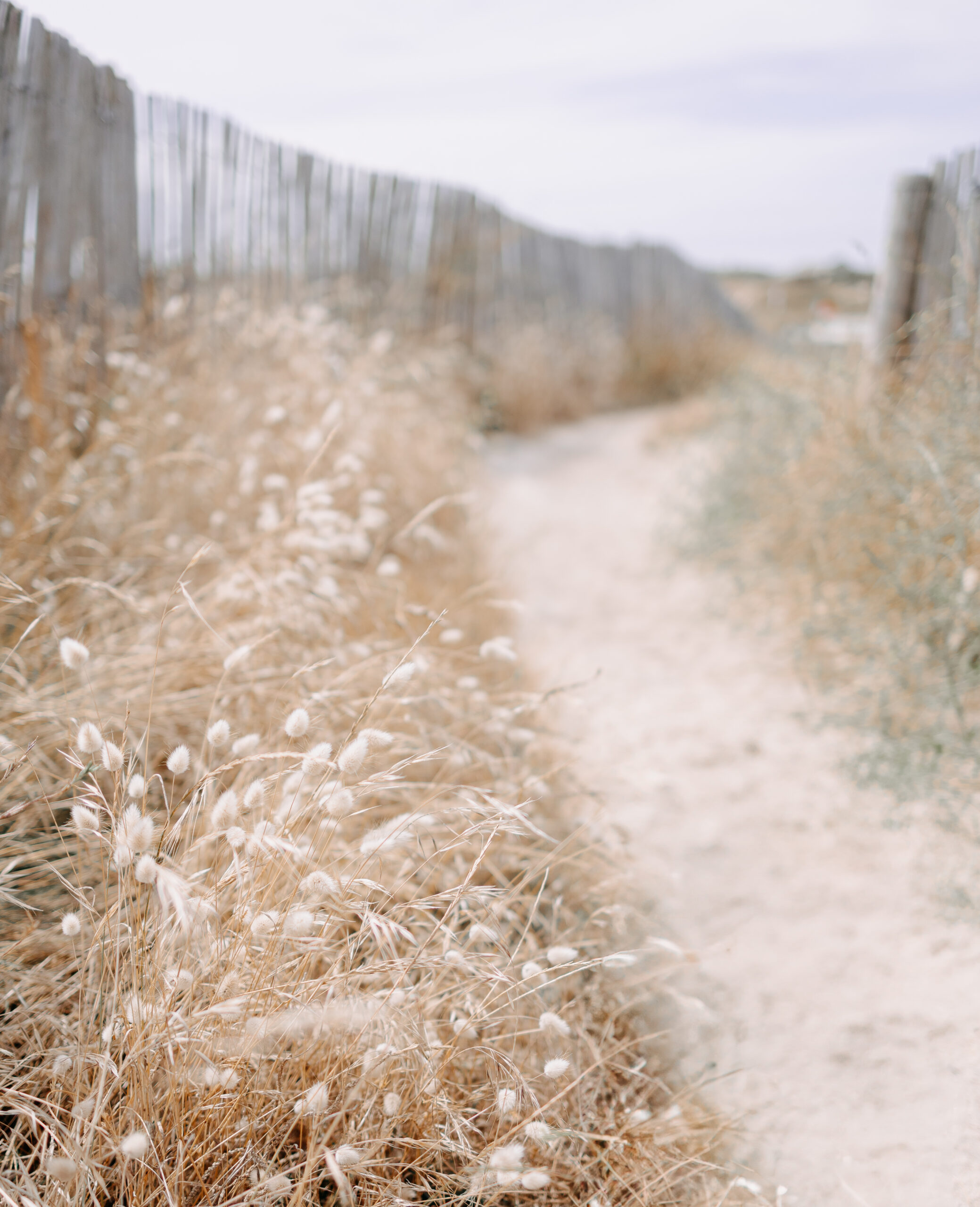 photographe morbihan