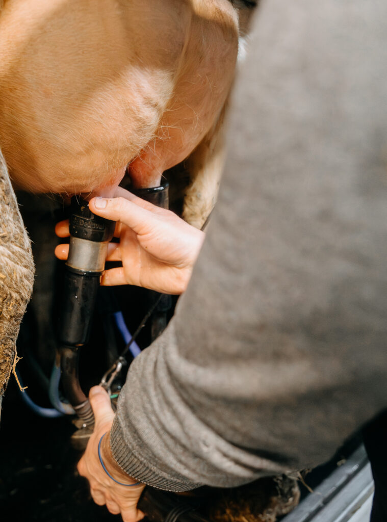 photo agriculteur bretagne